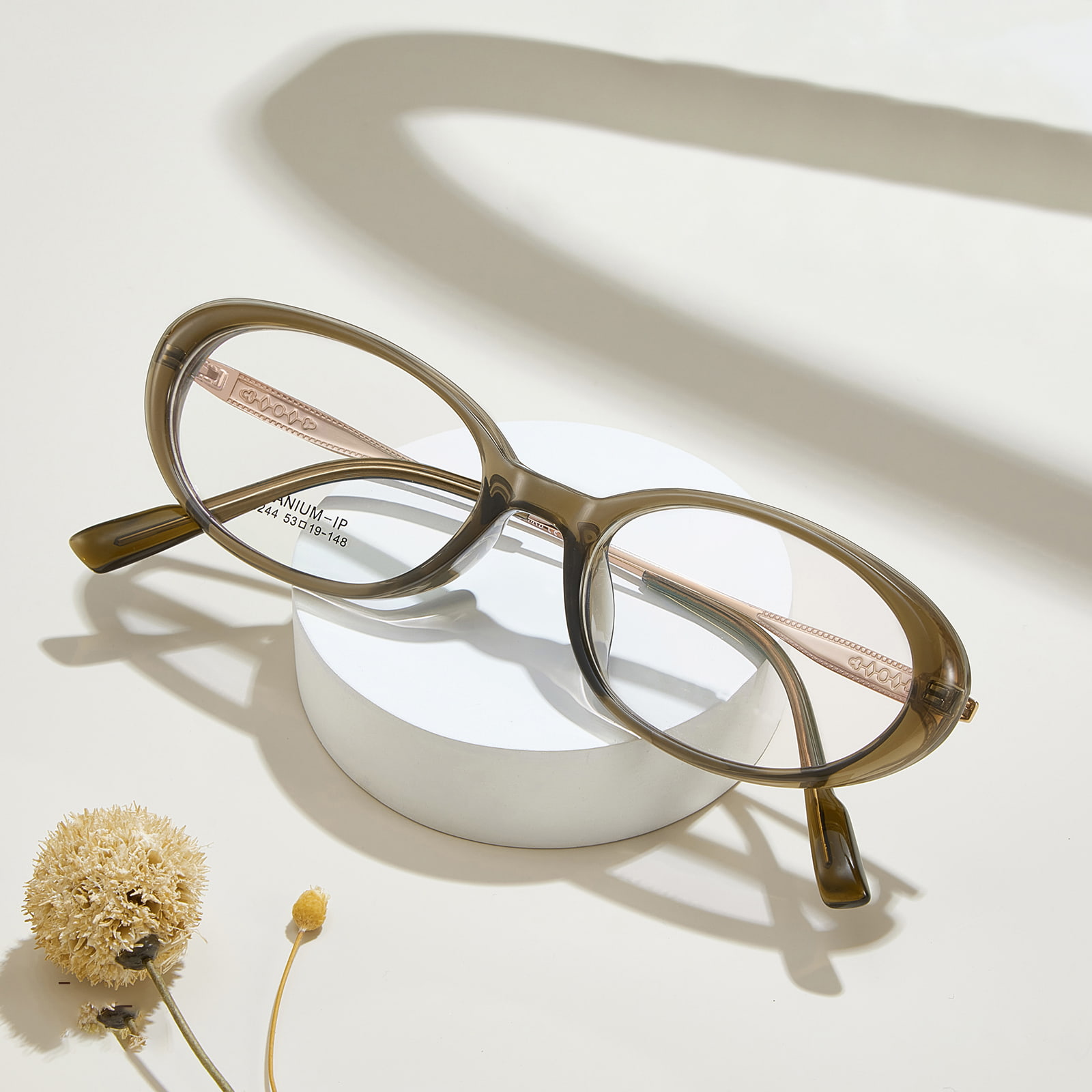 M8244 ovale, korrosionsbestandige β-titanbrille med bred kant